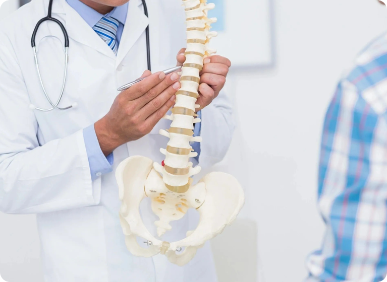 A doctor holding up the back of a skeleton.